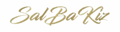 Salbakiz